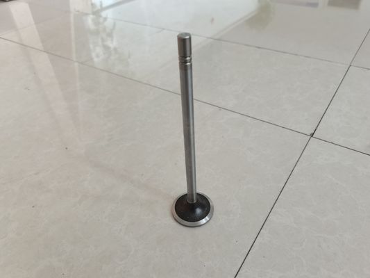 A válvula de entrada do motor esgota as peças da válvula 252-7802 224-3030 personalizado
