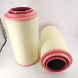 Peças de substituição AF25767 do filtro de ar do motor 3840036 24424482