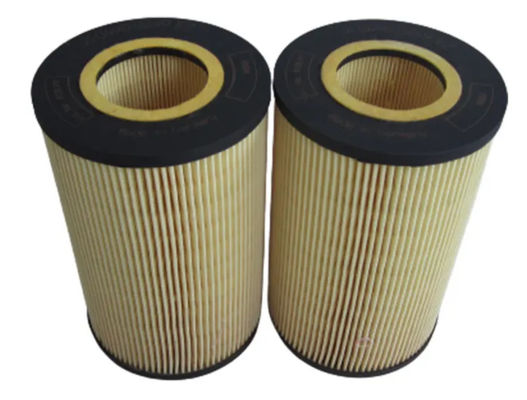 O filtro de óleo genuíno do motor diesel parte 01174421 com embalagem neutra