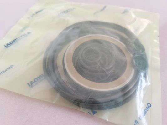 Máquina escavadora hidráulica Seal Kit Customized XKAY-00553 R210LC-7 R160LC-7