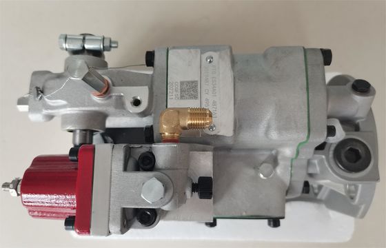 A bomba diesel durável da injeção personalizou 3019487 ES34A01 457798